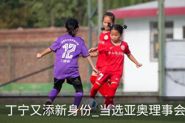 丁宁又添新身份 当选亚奥理事会运动员委员会主席