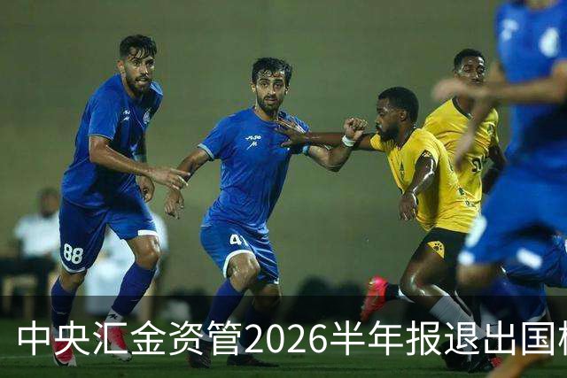 中央汇金资管2026半年报退出国检集团前十大股东名单