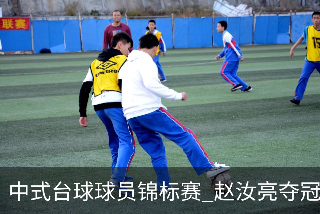中式台球球员锦标赛 赵汝亮夺冠斩获百万奖金