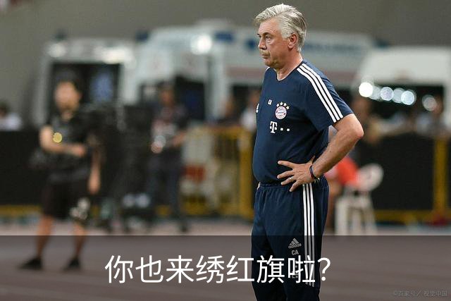 你也来绣红旗啦？