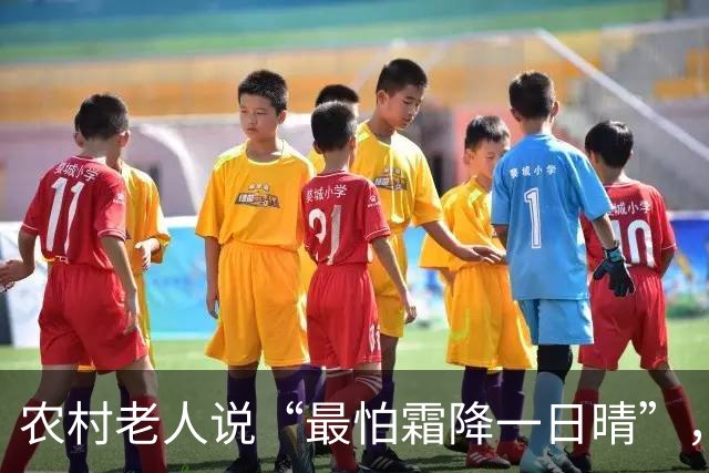 农村老人说“最怕霜降一日晴”，明日霜降，晴天有啥预兆？早了解