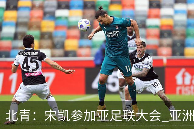 北青：宋凯参加亚足联大会 亚洲杯不存在易地举办可能