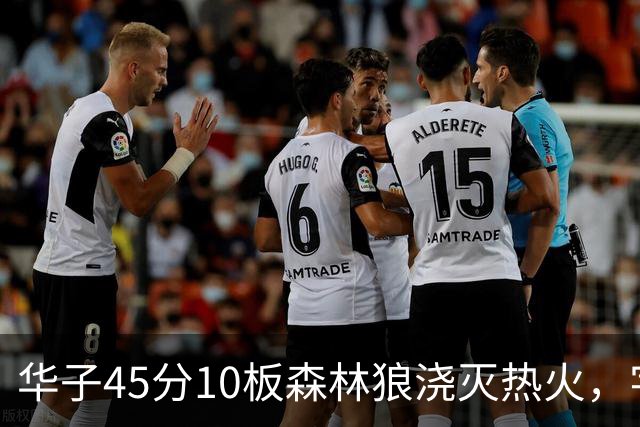 华子45分10板森林狼浇灭热火，字母哥首秀35+6三球21分6助攻
