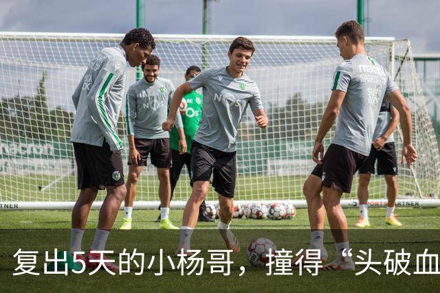 复出5天的小杨哥，撞得“头破血流”