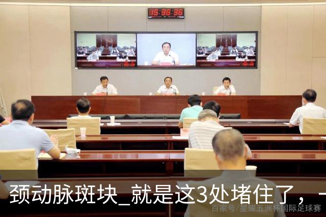 颈动脉斑块 就是这3处堵住了，一旦疏通头晕失眠乏力改善是很快的